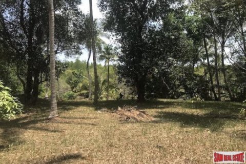 73600m² Land in Phang Nga, Thailand No. 96752 8