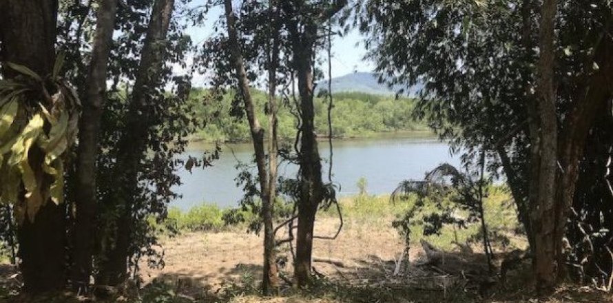 73600m² Land in Phang Nga, Thailand No. 96752