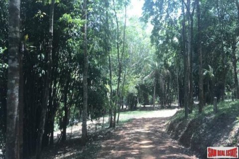 73600m² Land in Phang Nga, Thailand No. 96752 3