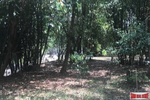 73600m² Land in Phang Nga, Thailand No. 96752 6