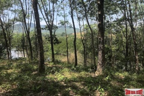 73600m² Land in Phang Nga, Thailand No. 96752 12
