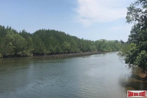 73600m² Land in Phang Nga, Thailand No. 96752 14