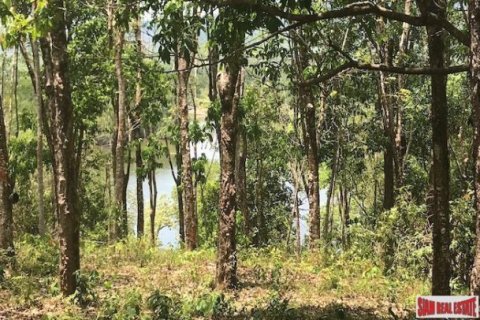73600m² Land in Phang Nga, Thailand No. 96752 11