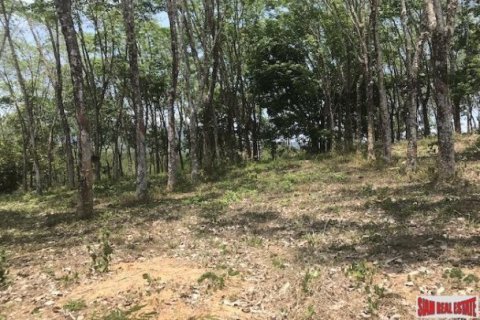 73600m² Land in Phang Nga, Thailand No. 96752 13