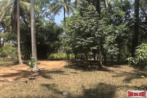 73600m² Land in Phang Nga, Thailand No. 96752 2