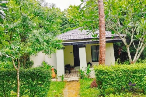 Commercial property in Chiang Mai, Thailand No. 97836 22