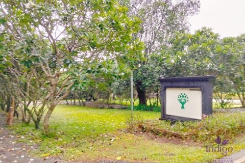 Commercial property in Chiang Mai, Thailand No. 97836 5