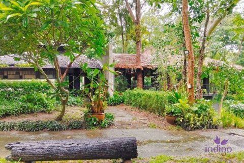 Commercial property in Chiang Mai, Thailand No. 97836 10