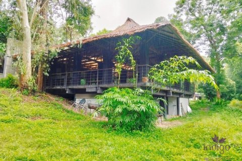 Commercial property in Chiang Mai, Thailand No. 97836 27