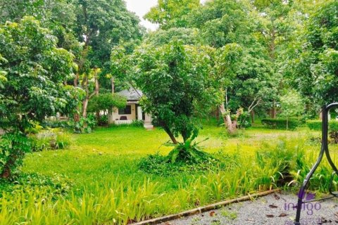 Commercial property in Chiang Mai, Thailand No. 97836 18