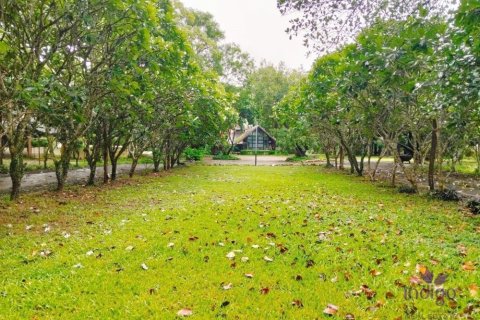 Commercial property in Chiang Mai, Thailand No. 97836 1