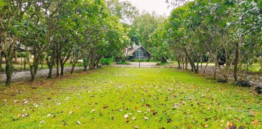 Commercial property in Chiang Mai, Thailand No. 97836