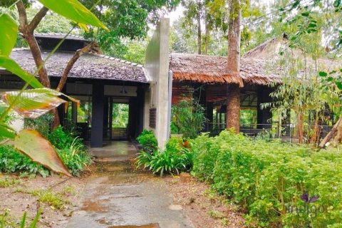 Commercial property in Chiang Mai, Thailand No. 97836 7