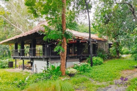 Commercial property in Chiang Mai, Thailand No. 97836 19