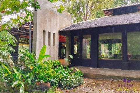 Commercial property in Chiang Mai, Thailand No. 97836 24