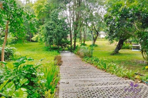 Commercial property in Chiang Mai, Thailand No. 97836 6