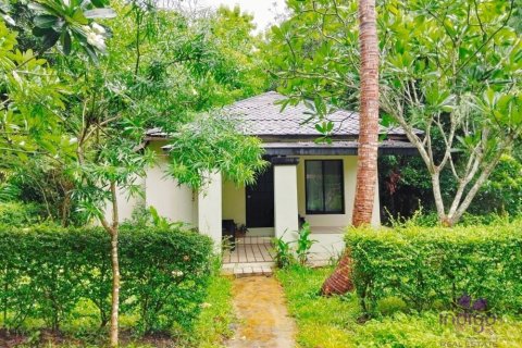 Commercial property in Chiang Mai, Thailand No. 97836 23