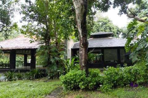 Commercial property in Chiang Mai, Thailand No. 97836 20