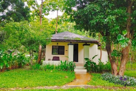 Commercial property in Chiang Mai, Thailand No. 97836 15