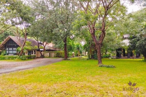 Commercial property in Chiang Mai, Thailand No. 97836 4