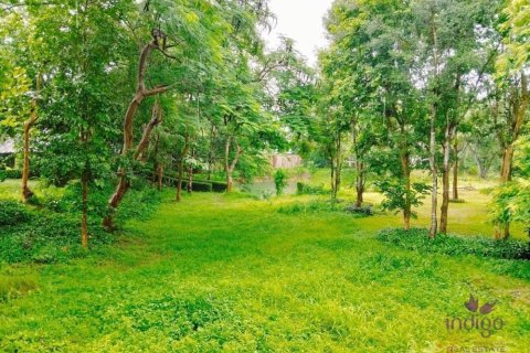 Commercial property in Chiang Mai, Thailand No. 97836 26