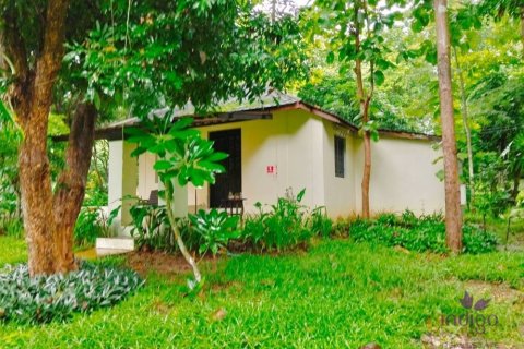 Commercial property in Chiang Mai, Thailand No. 97836 21