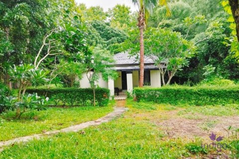 Commercial property in Chiang Mai, Thailand No. 97836 14