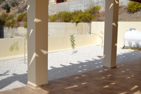 3 bedrooms House in Pegeia, Cyprus No. 37275 3