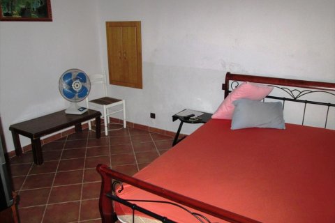 Дом с 3 спальнями в Халкидики, Греция №59411 9