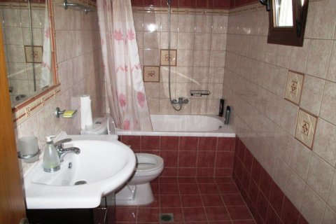 Дом с 3 спальнями в Халкидики, Греция №59411 19