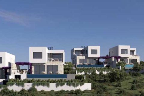 Дом с 3 спальнями в Пейя, Кипр №84472 12