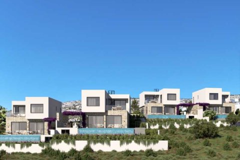 Дом с 3 спальнями в Пейя, Кипр №84472 14