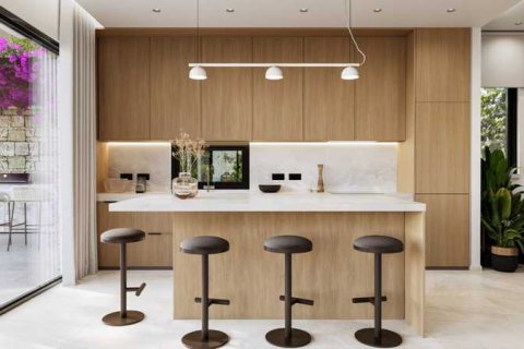 Дом с 3 спальнями в Пейя, Кипр №84472 7