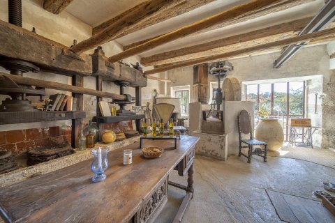 Дом с 12 спальнями в Грас, Франция №67921 4