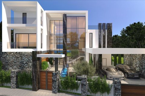 Studio Villa in Paphos, Cyprus No. 106462 10