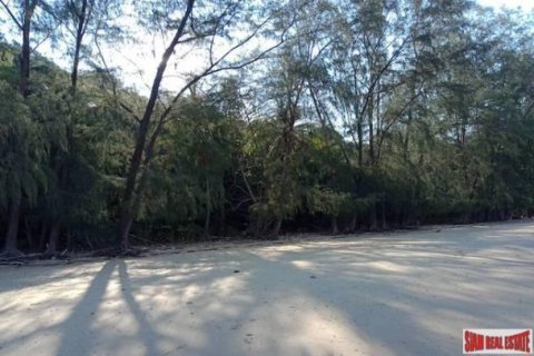 2000000m² Land in Phang Nga, Thailand No. 95959 4