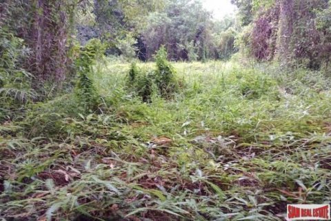 2000000m² Land in Phang Nga, Thailand No. 95959 8