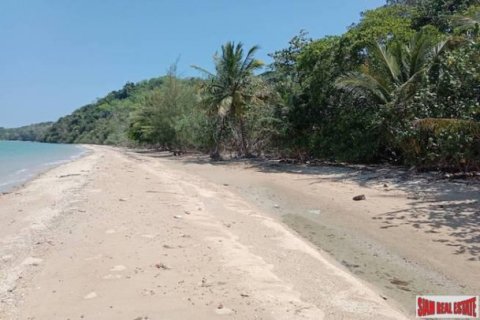 2000000m² Land in Phang Nga, Thailand No. 95959 5