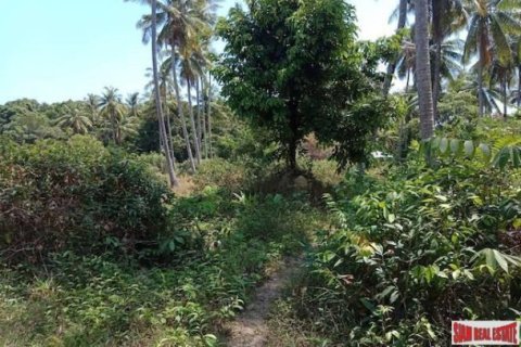 2000000m² Land in Phang Nga, Thailand No. 95959 6