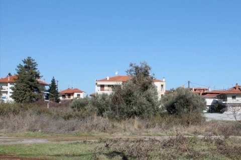 1123m² Land in Litochoro, Greece No. 58891 2