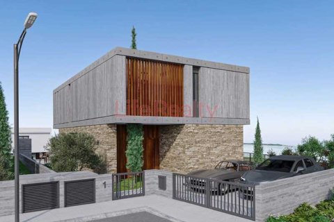 3 bedrooms House in Geroskípou, Cyprus No. 78636 14