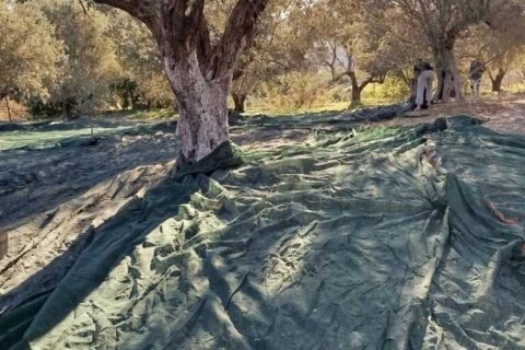 Дом с 1 спальней в Ираклион, Греция №108164 22