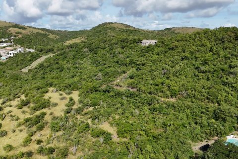 1700m² Land in Piccadilly, Antigua and Barbuda No. 64964 4