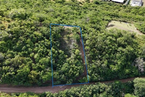 1700m² Land in Piccadilly, Antigua and Barbuda No. 64964 5