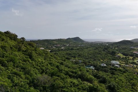 1700m² Land in Piccadilly, Antigua and Barbuda No. 64964 11