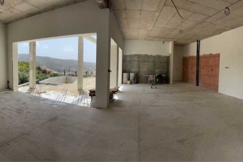 5 chambres Villa à Palodeia, Cyprus No. 82609 16