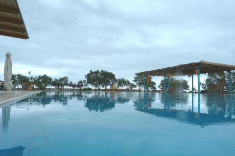 1000m² Business in Euboea, Greece No. 57215 9