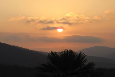 Дом с 13 спальнями в Моле, Франция №69005 12