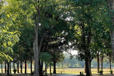 Дом с 13 спальнями в Моле, Франция №69005 18