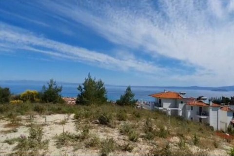 11444m² Land in Chalkidiki, Greece No. 108498 3